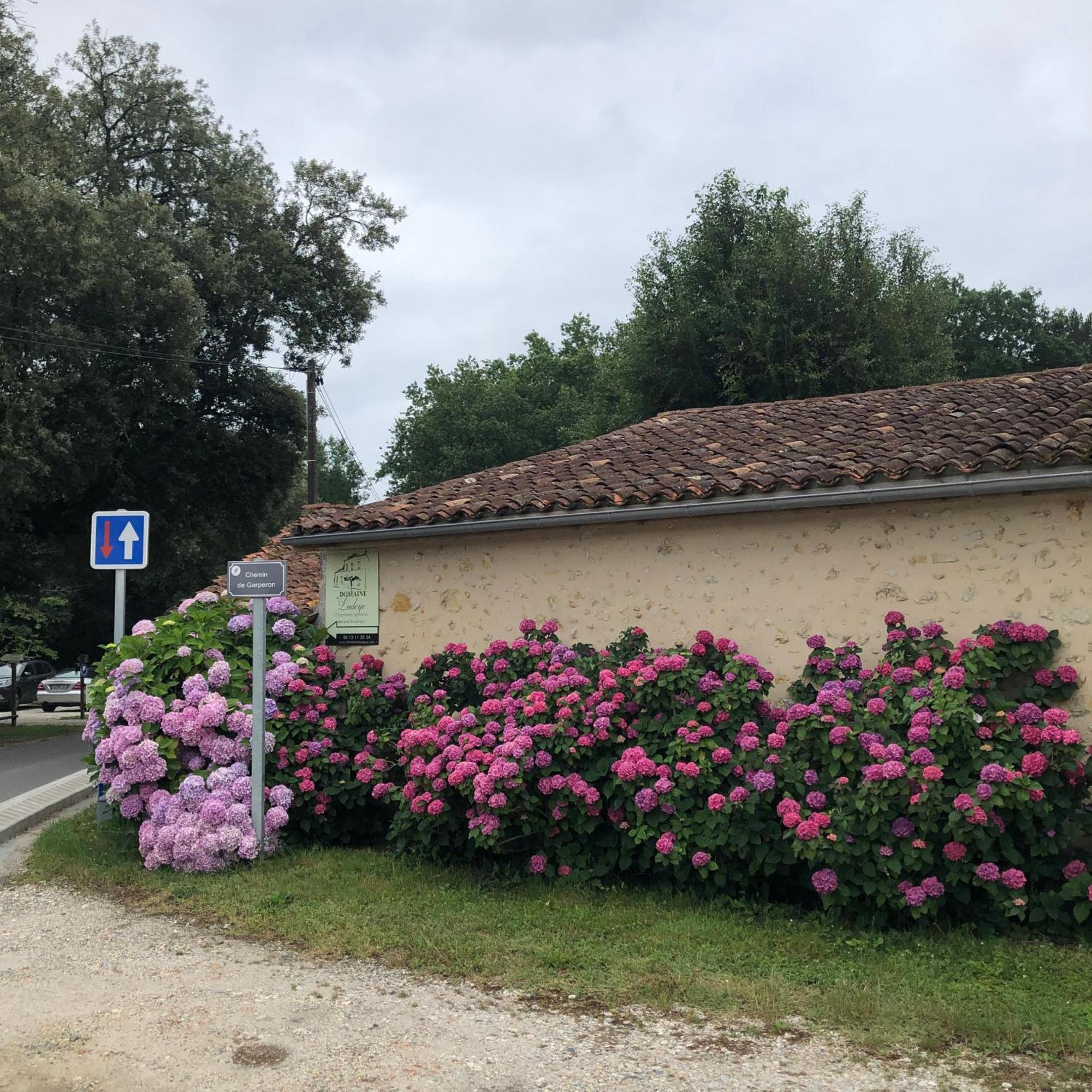 Hotel Domaine de Ludeye à Listrac-Médoc Extérieur photo